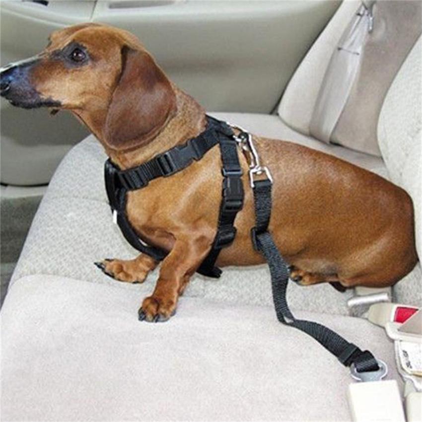 Safety Dog Car Seat Belt seat belt Happy Paws 
