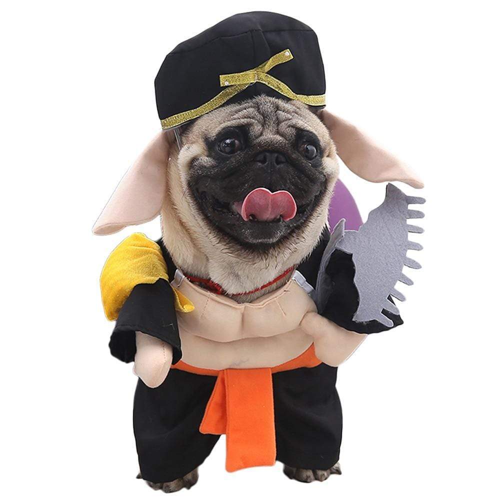Shaolin Warrior Costume Dog Halloween Costume Happy Paws Online Large 