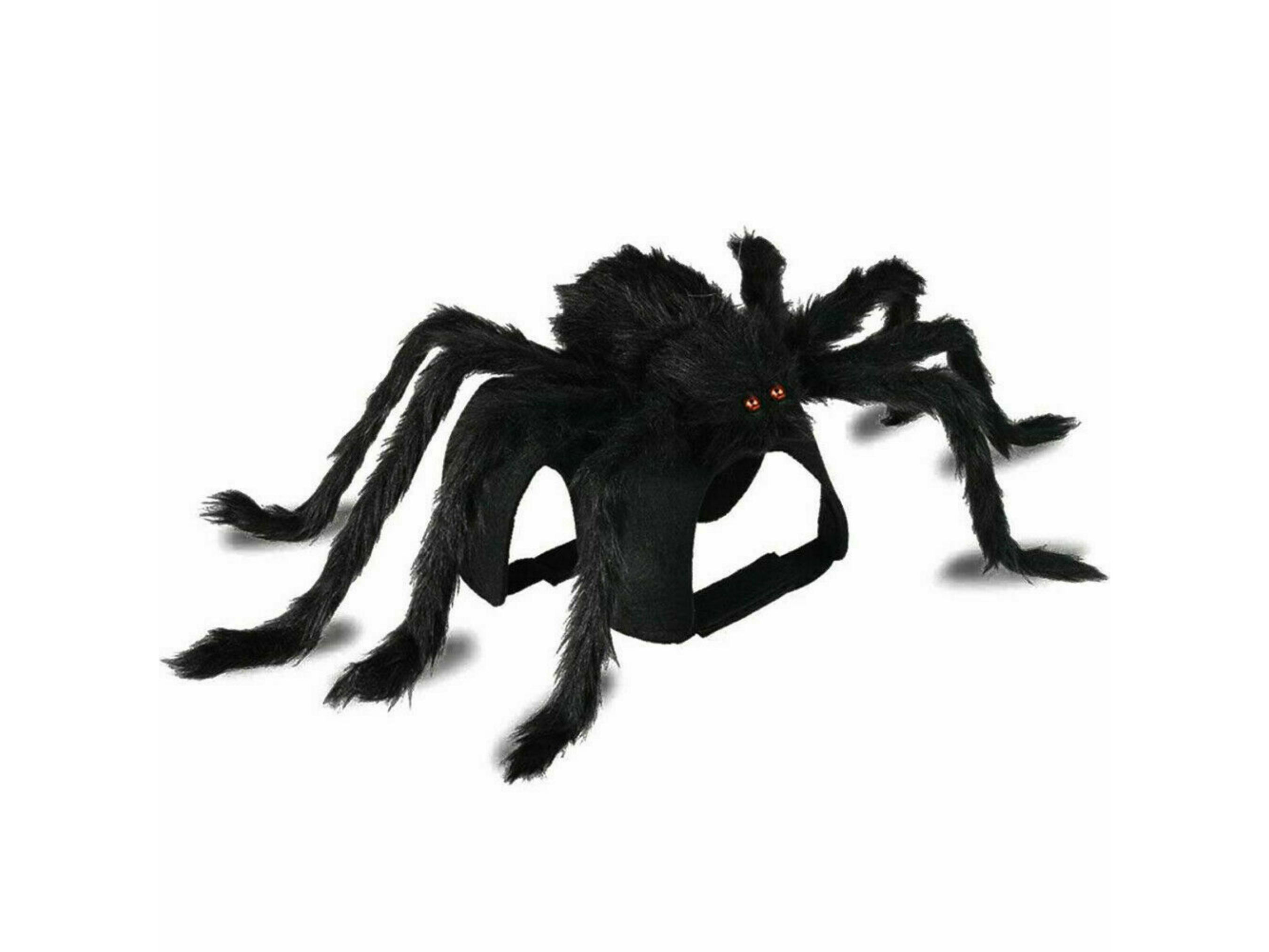 Spider Costume Dog Apparel Happy Paws Online