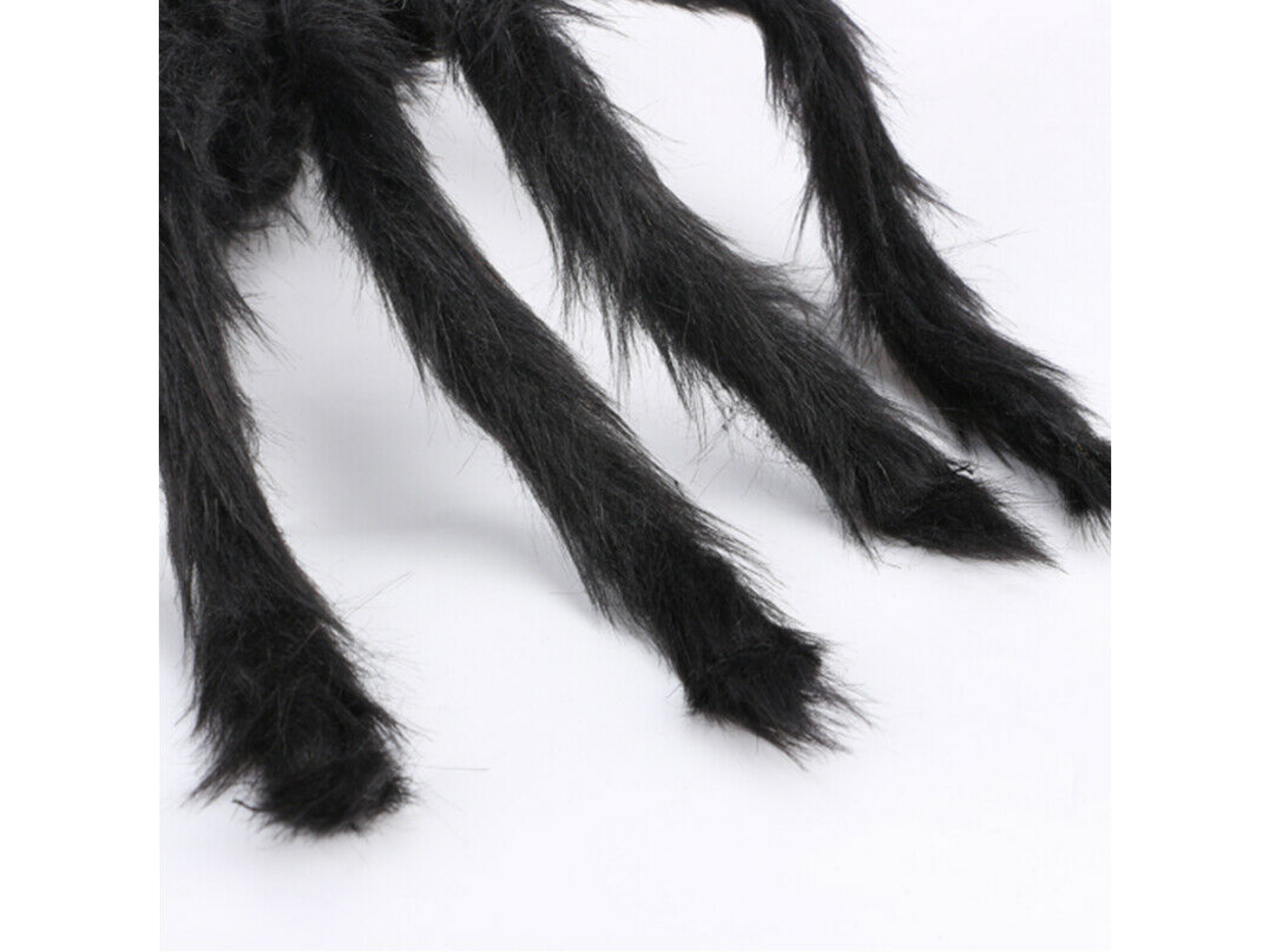 Spider Costume Dog Apparel Happy Paws Online
