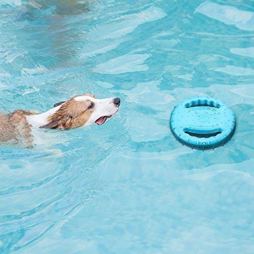 Water Sports Frisbee Dog Frisbee Happy Paws 