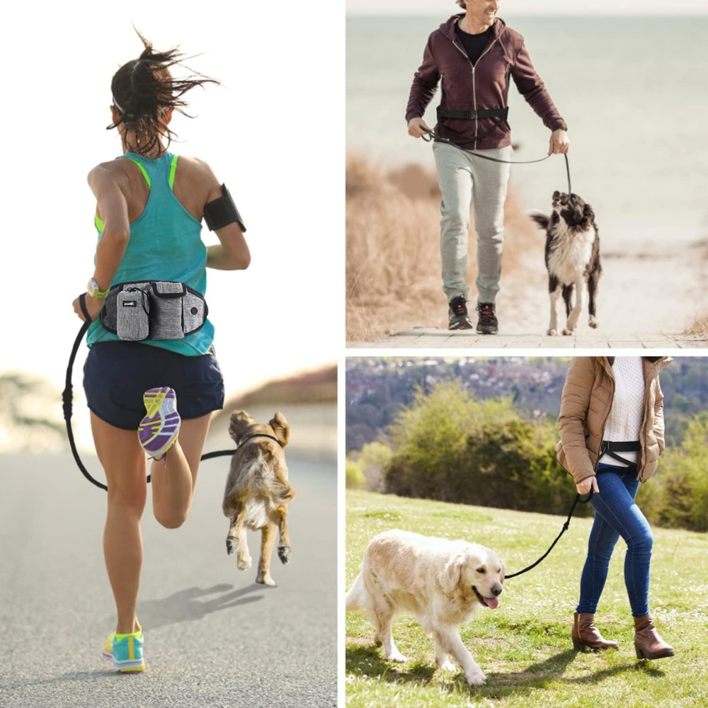 Hands Free Dog Lead with bag