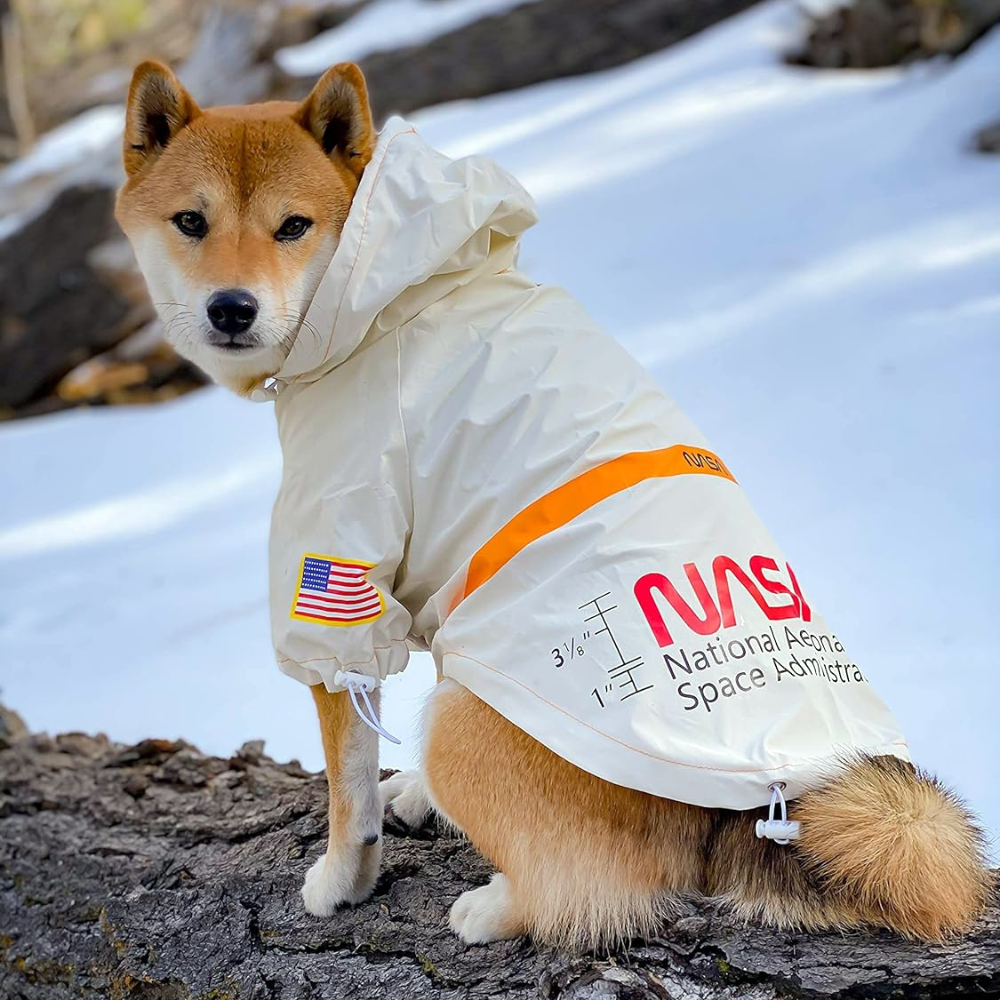 Nasa Waterproof Dog Raincoat