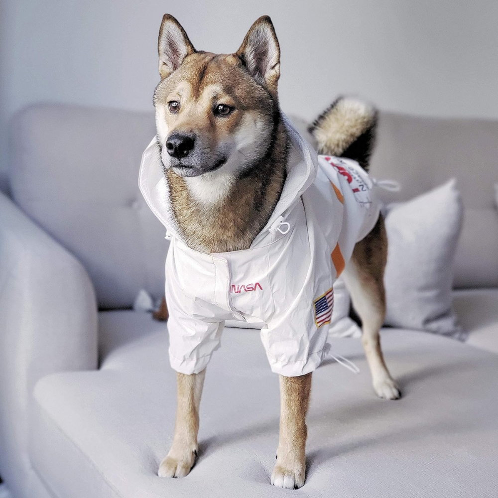 Nasa Waterproof Dog Raincoat