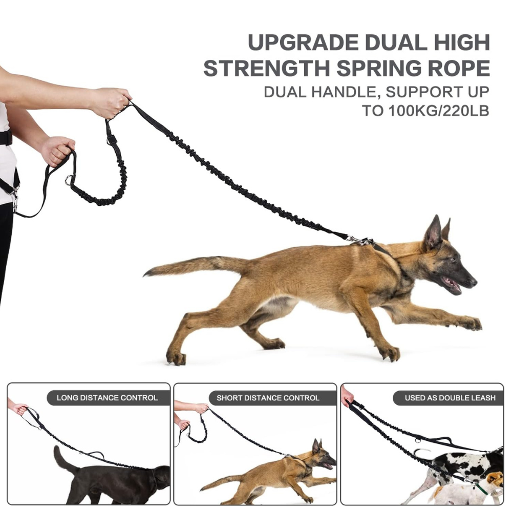 Hands Free Dog Lead with bag