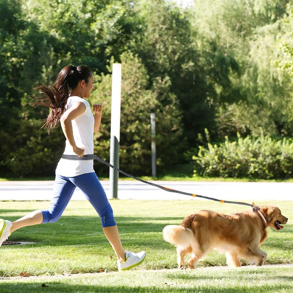 Hands Free Dog Lead