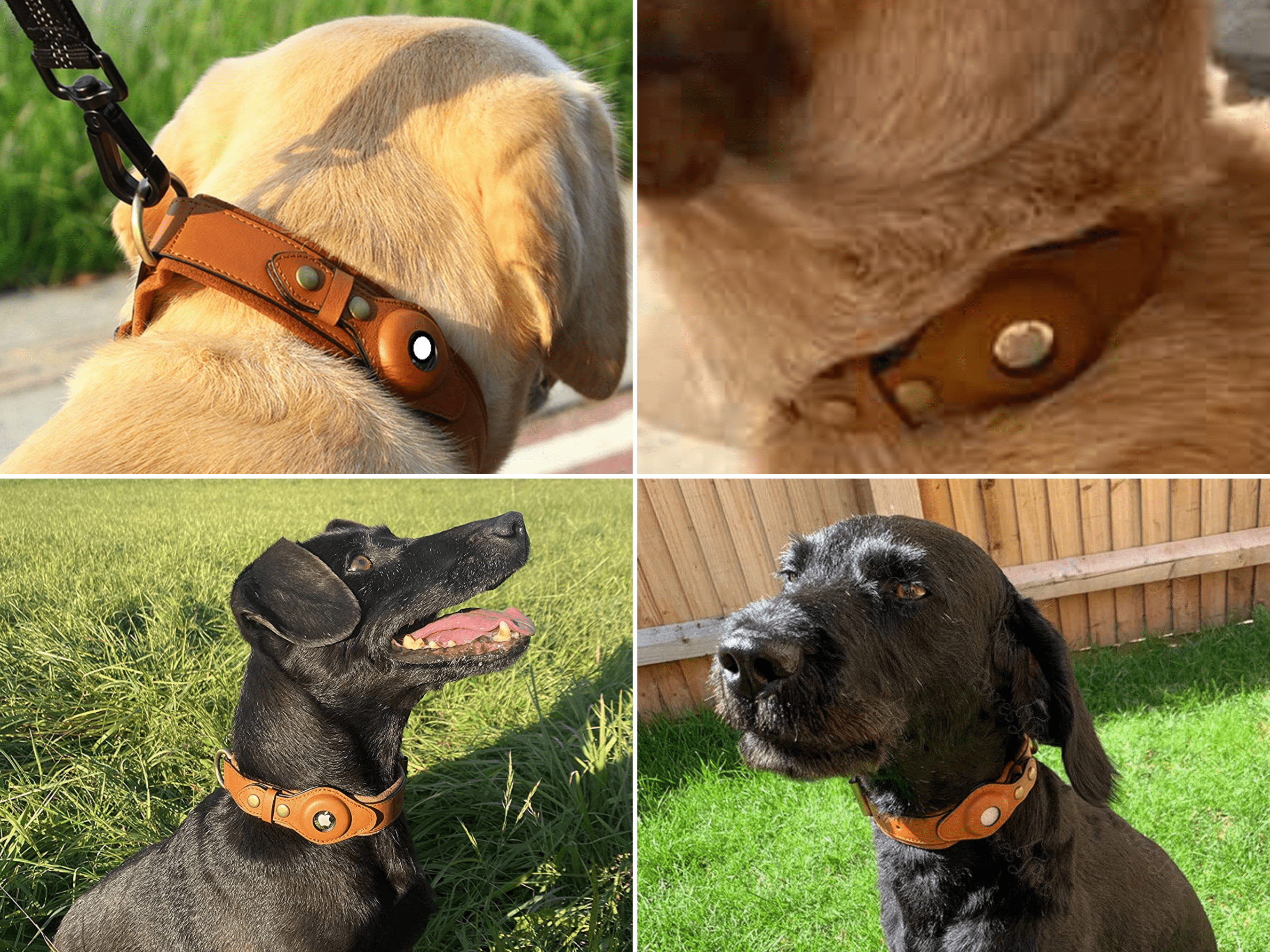 Airtag Leather Collar