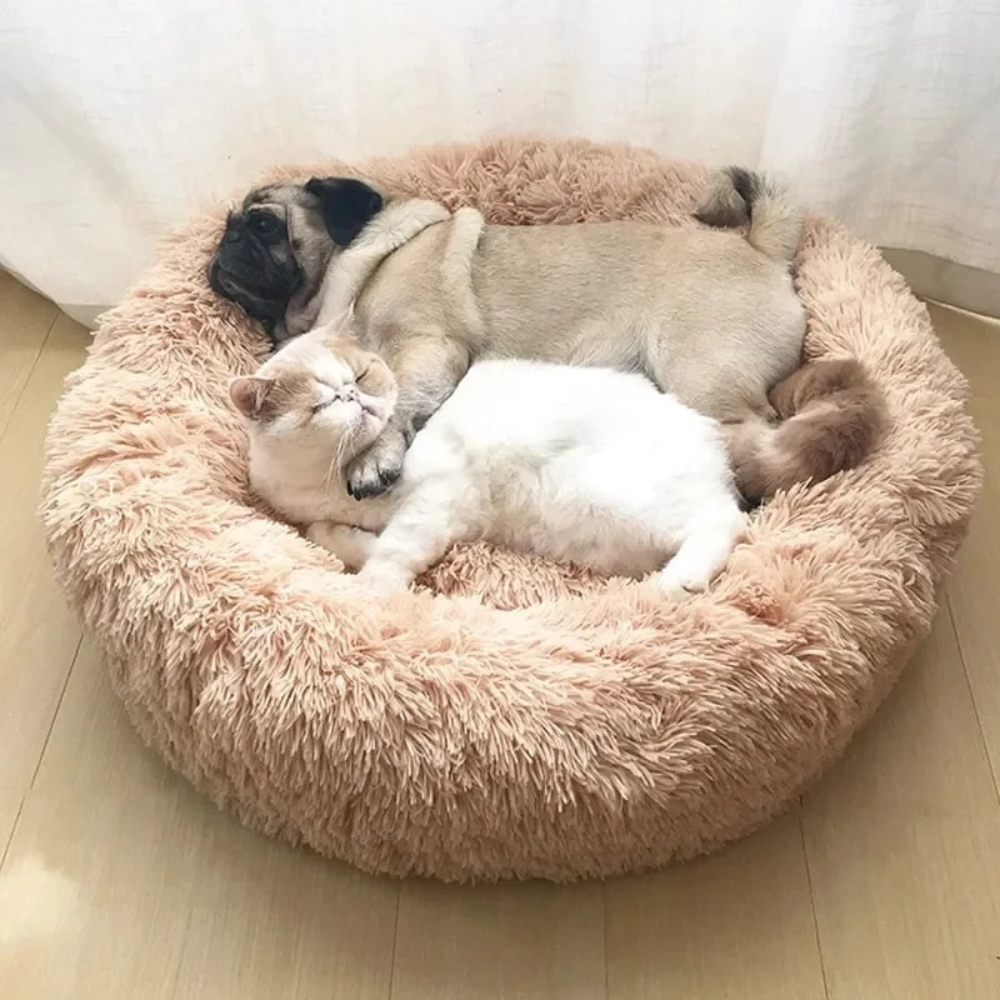 Calming Donut Bed