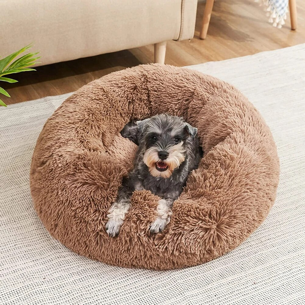 Calming Donut Bed