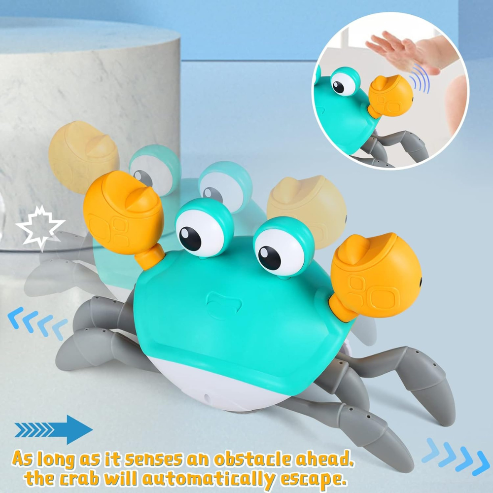 Crawling Crab Pet Toy