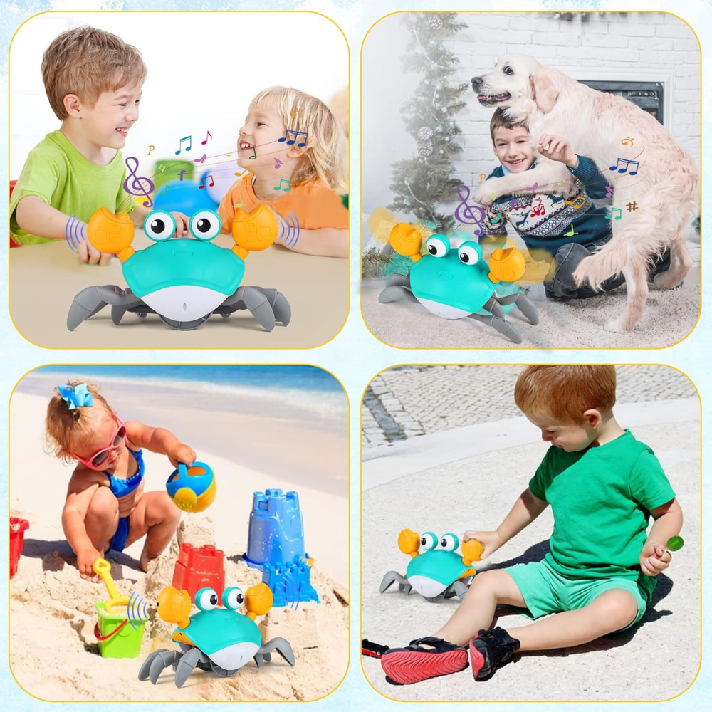 Crawling Crab Pet Toy