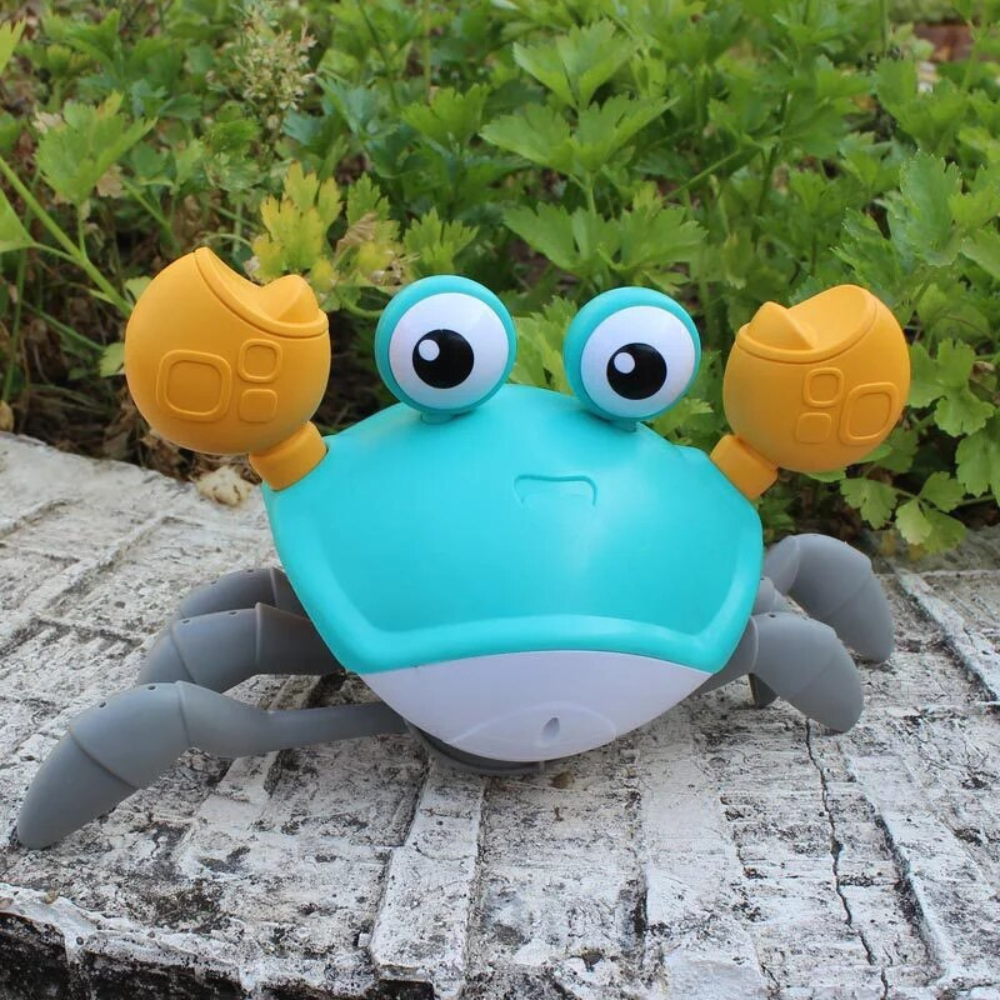Crawling Crab Pet Toy