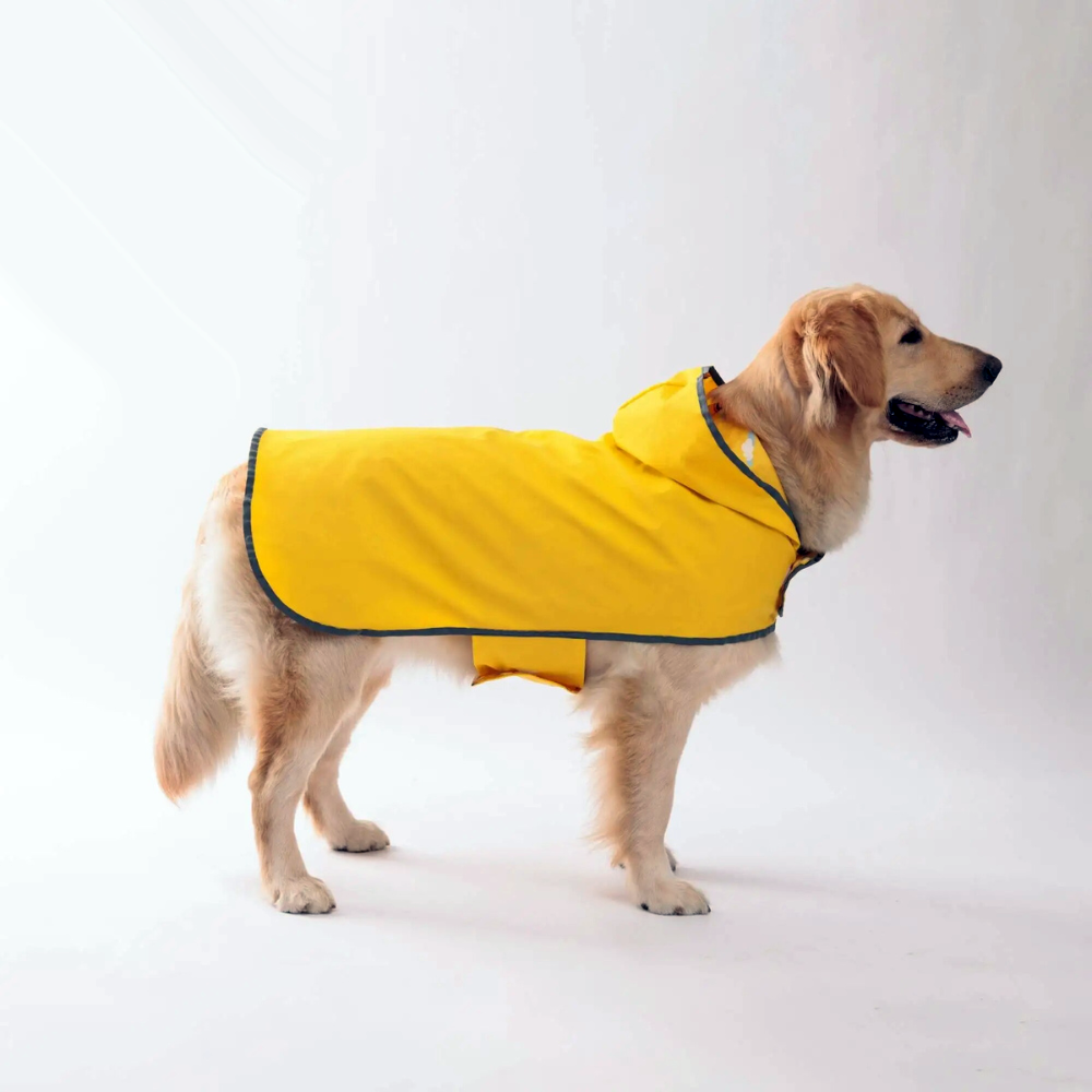 Ultra-Light Rain Jacket Cape