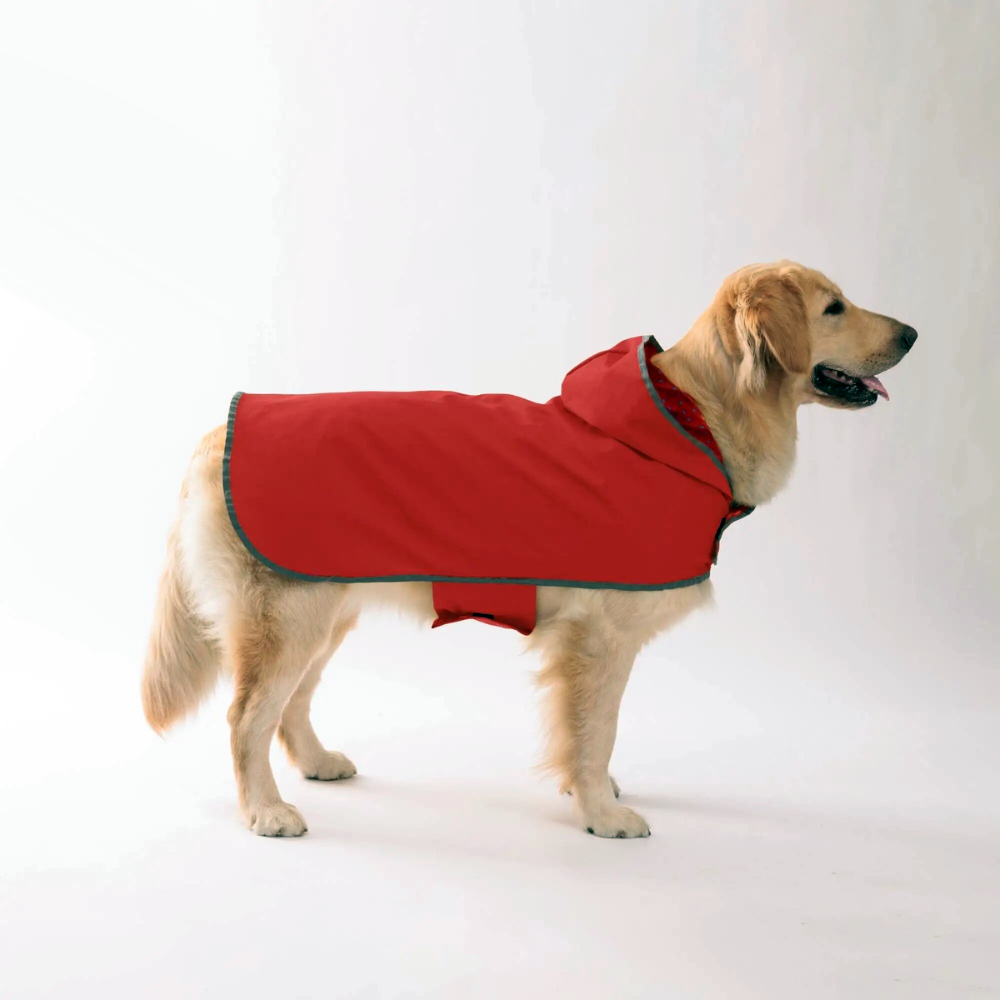 Ultra-Light Rain Jacket Cape