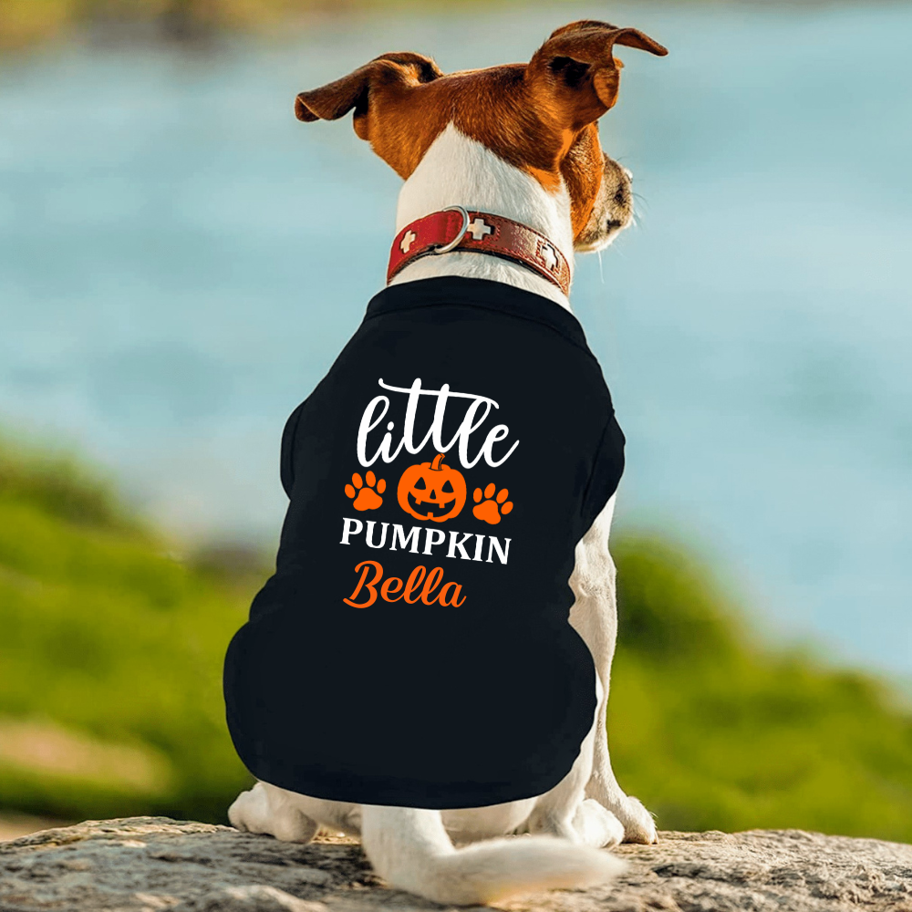 Little Pumpkin