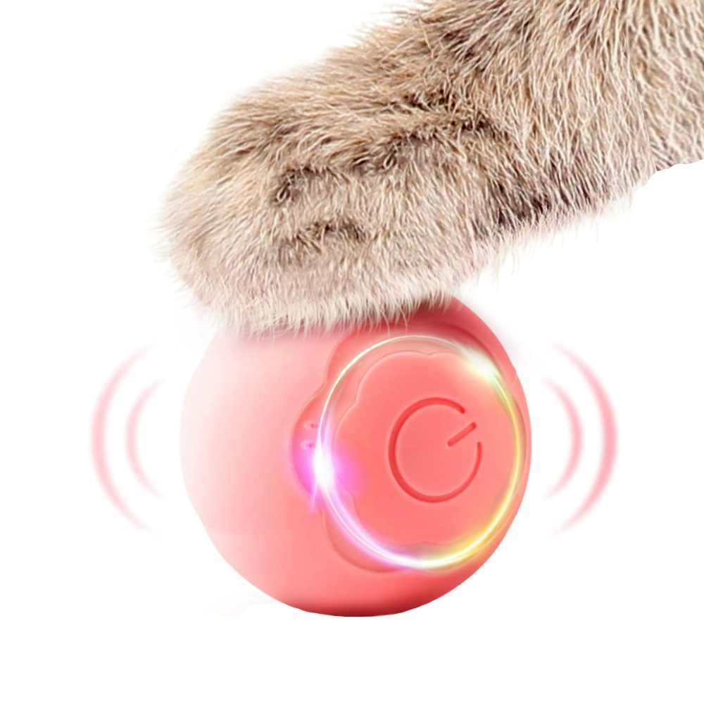 Interactive Automatic Ball - USB Rechargeable