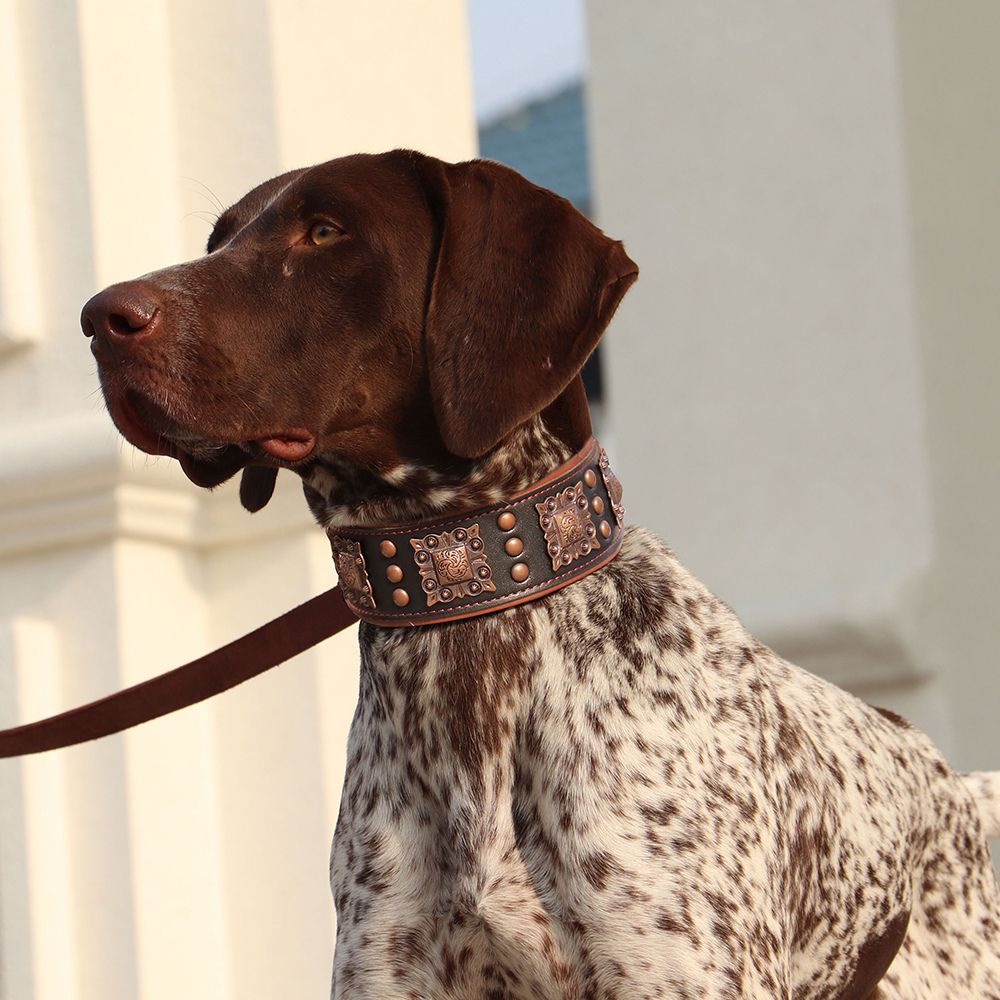 Aristopaw™ Regal Leather Collar