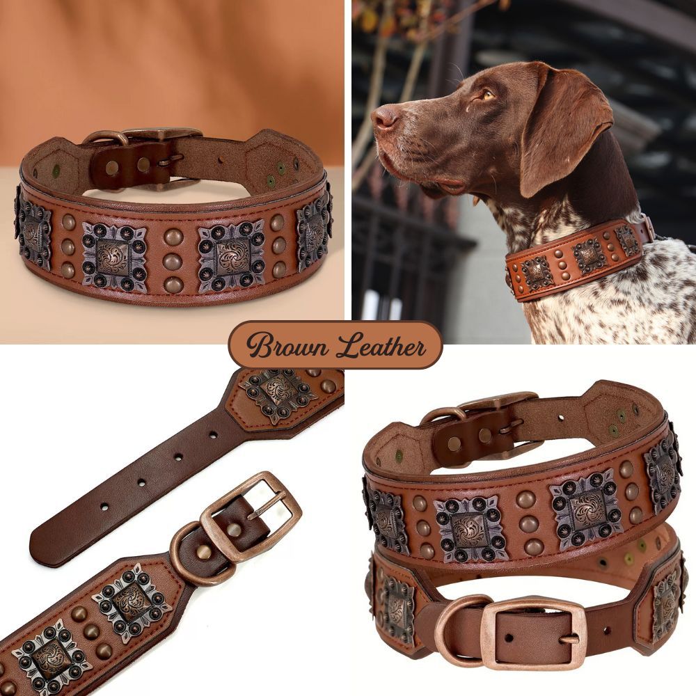 Aristopaw™ Regal Leather Collar