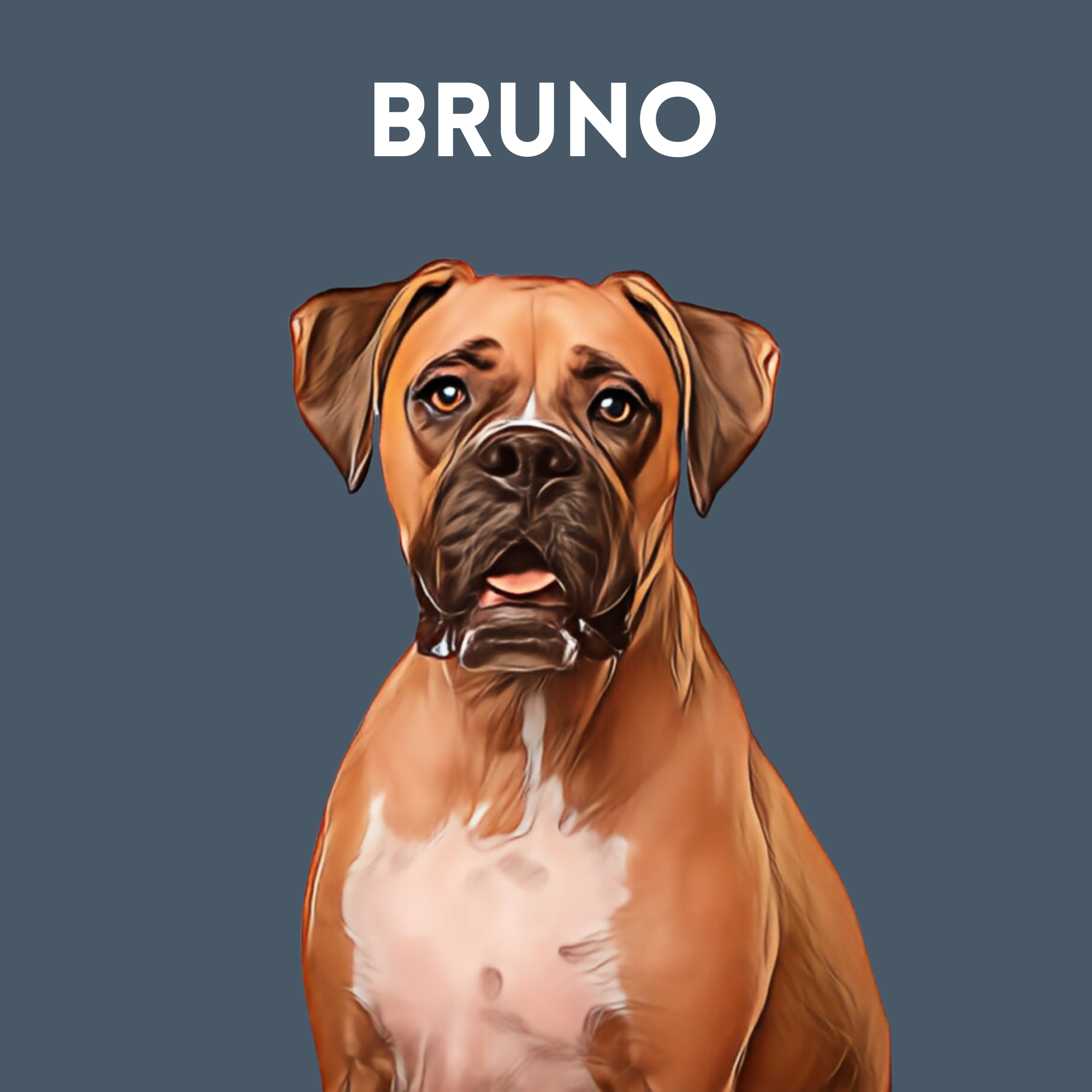 Retrato de mascota personalizado: póster y descarga digital