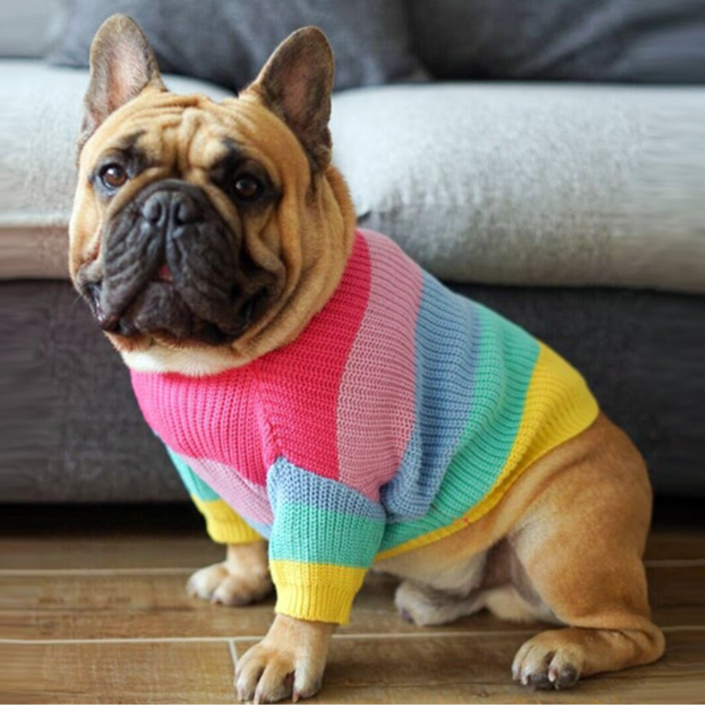Rainbow Knit Sweater
