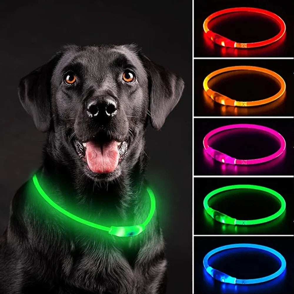 USB Rechargeable LED Dog Collar