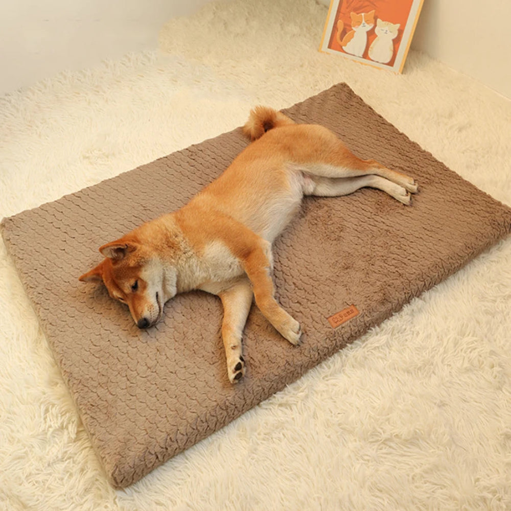Soft & Washable Plush Pet Bed