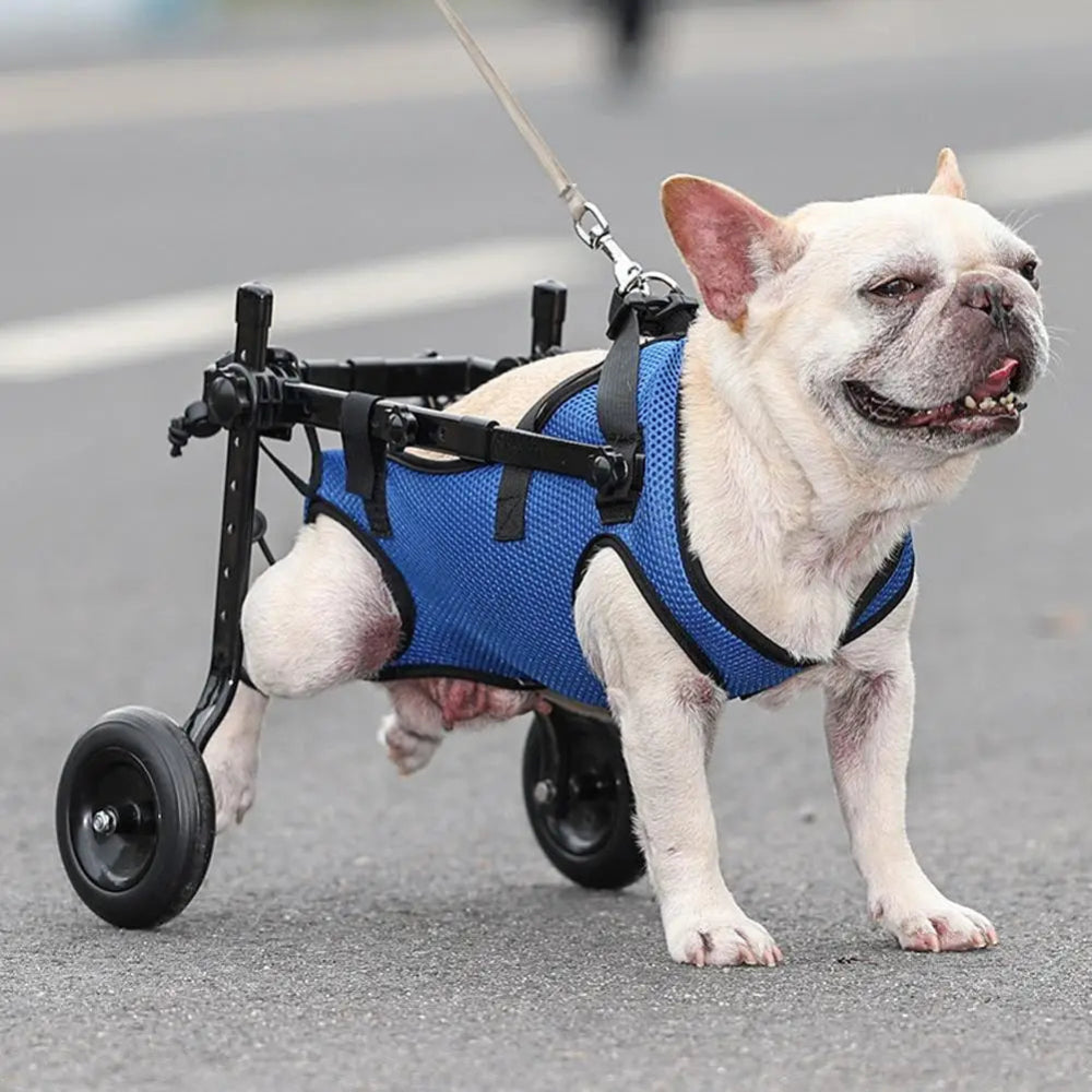Adjustable Pet Wheelchair for Hind Leg Mobility
