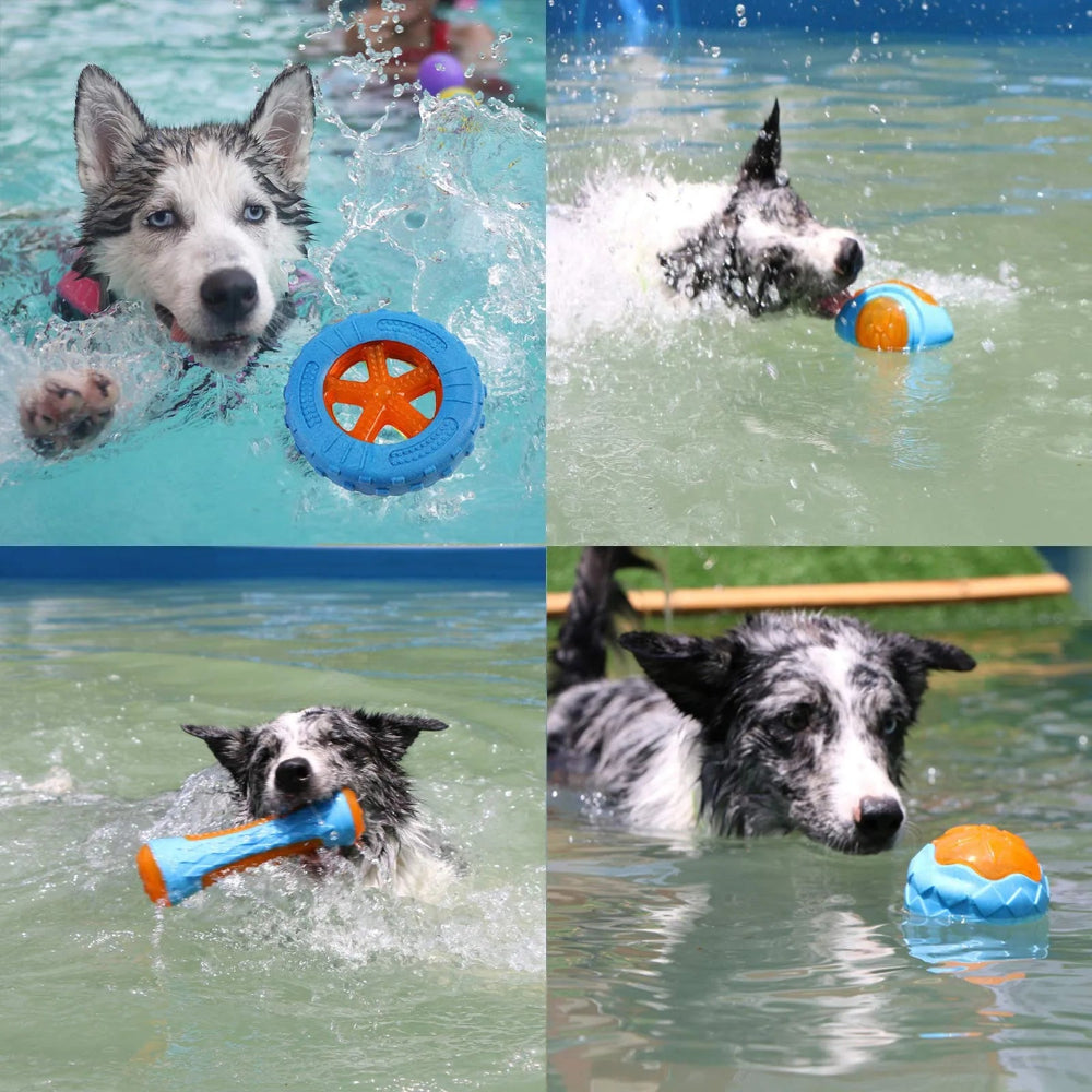 Durable Squeaky Rubber Dog Toy