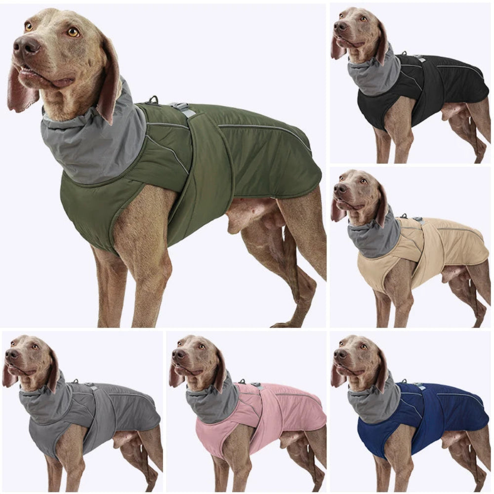 Luxury Waterproof Winter Dog Jacket