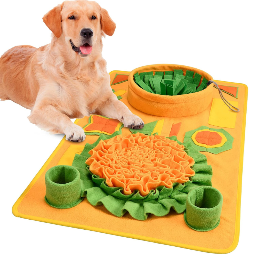 Snuffle Mat Interactive Puzzle