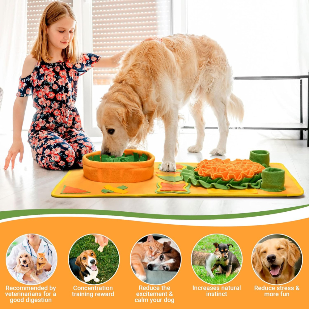 Snuffle Mat Interactive Puzzle