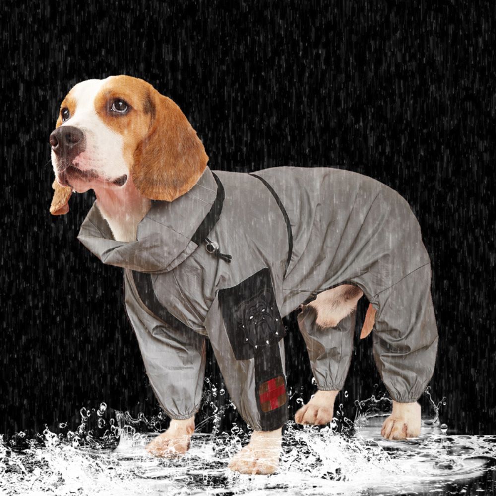 Full Body Waterproof Raincoat