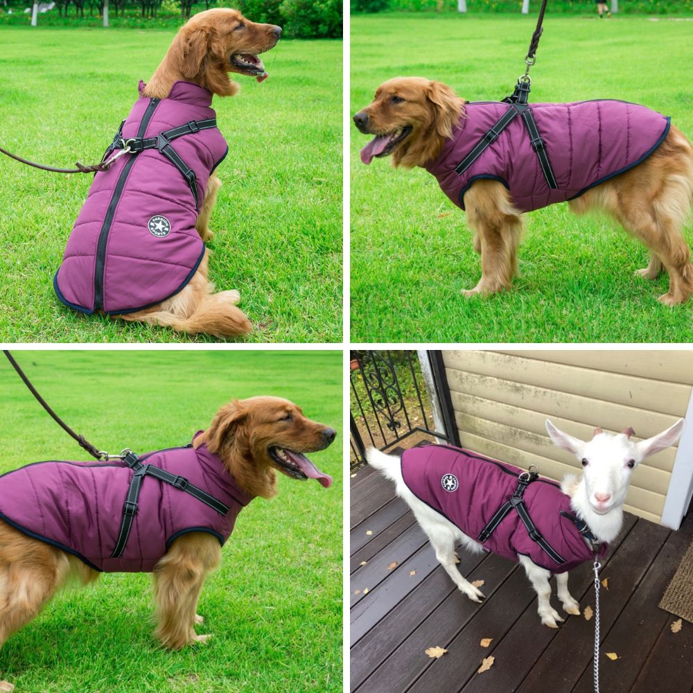 Waterproof Puffer Winter Coat