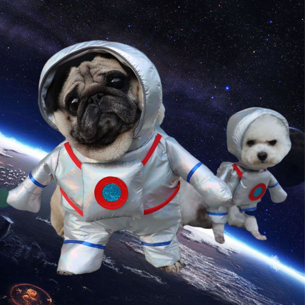Disfraz de astronauta