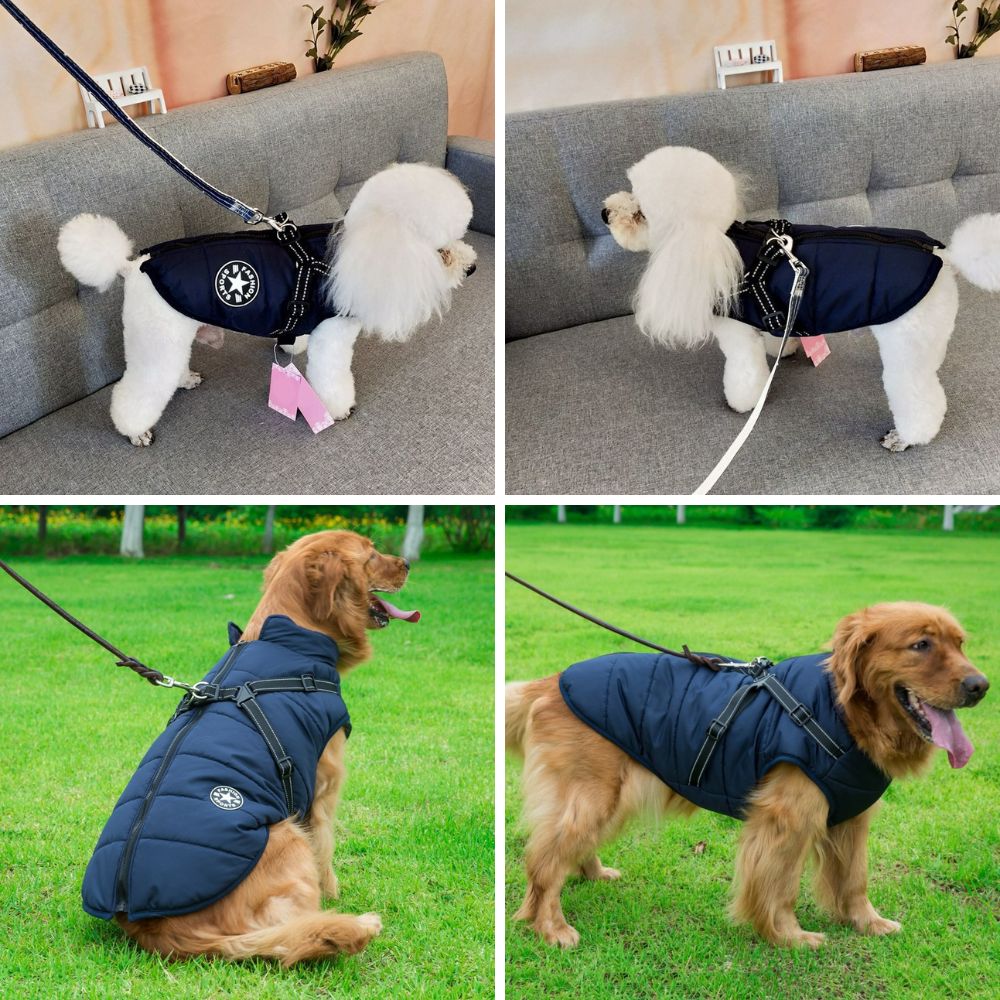 Waterproof Puffer Winter Coat