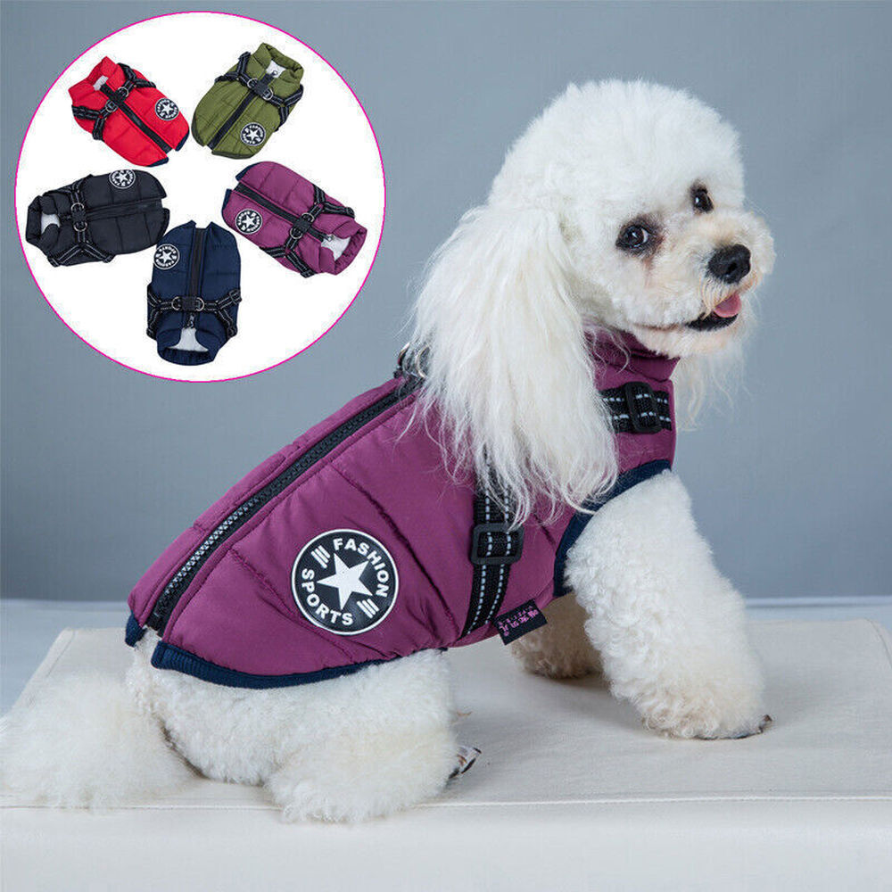 Waterproof Puffer Winter Coat