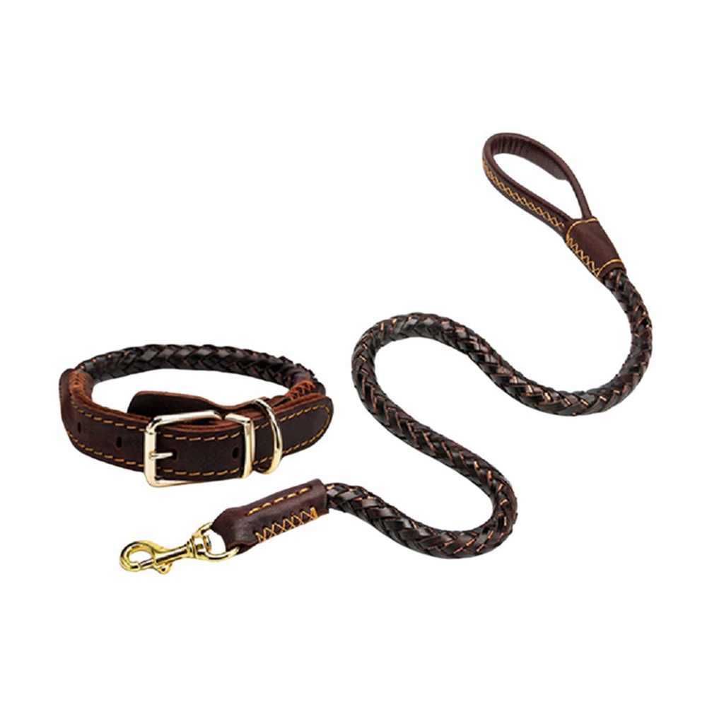Conjunto de collar y correa para perro hecho a mano