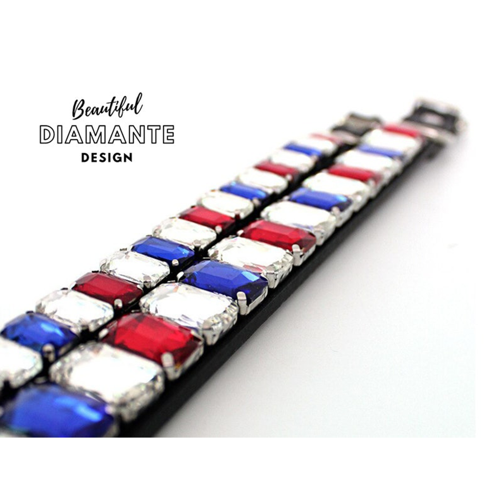 Collar de cristal para perro
