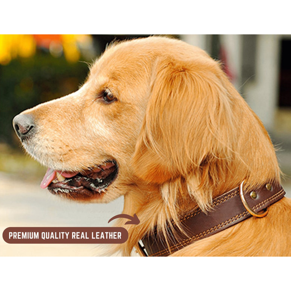 Real Leather Dog Collar