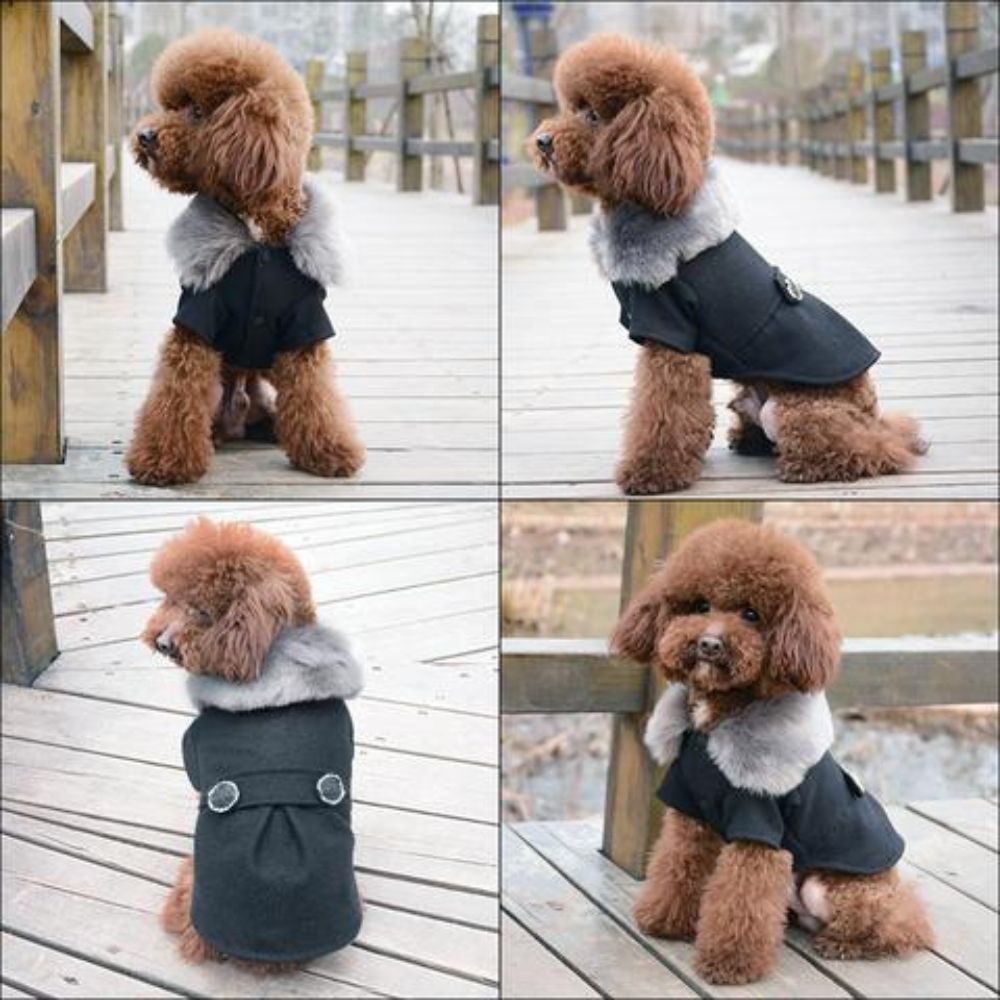 Abrigo de piel para perro