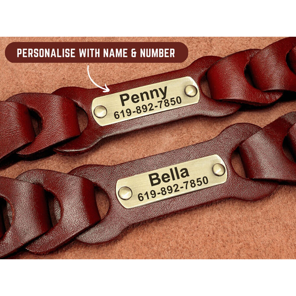 Personalized Leather Dog Collar