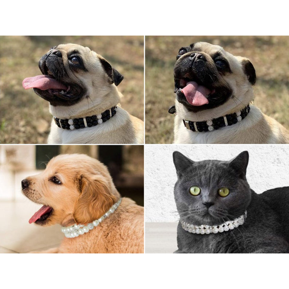 Collar de perro con cuentas