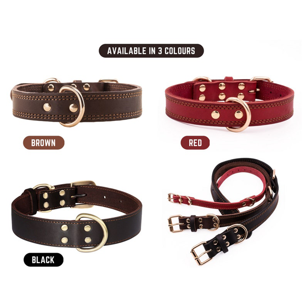 Real Leather Dog Collar