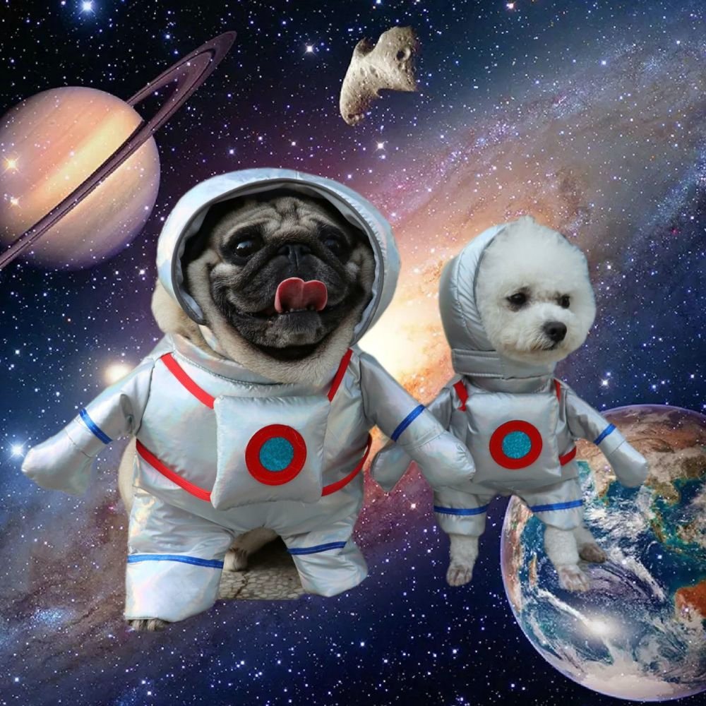 Disfraz de astronauta
