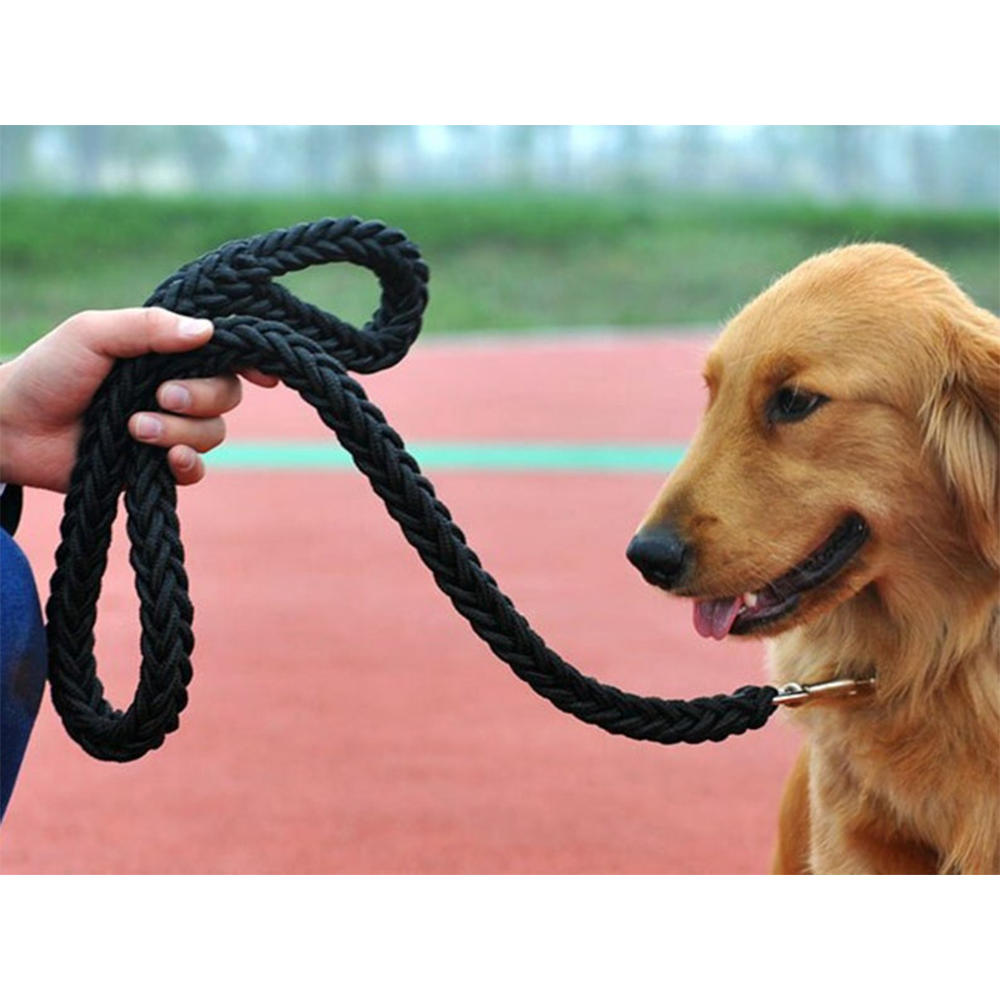 Martingale Dog Collar and Lead Set