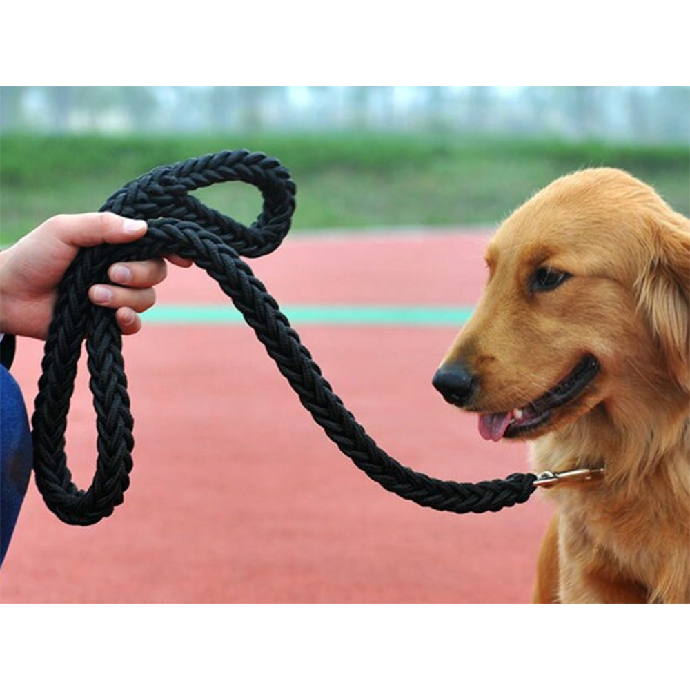 Conjunto de collar y correa para perros tipo martingala