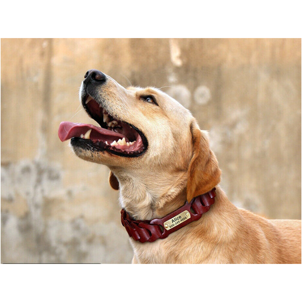 Collar de cuero personalizado para perros
