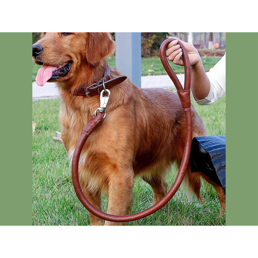 Thick Leather Dog Collar and Lead Set