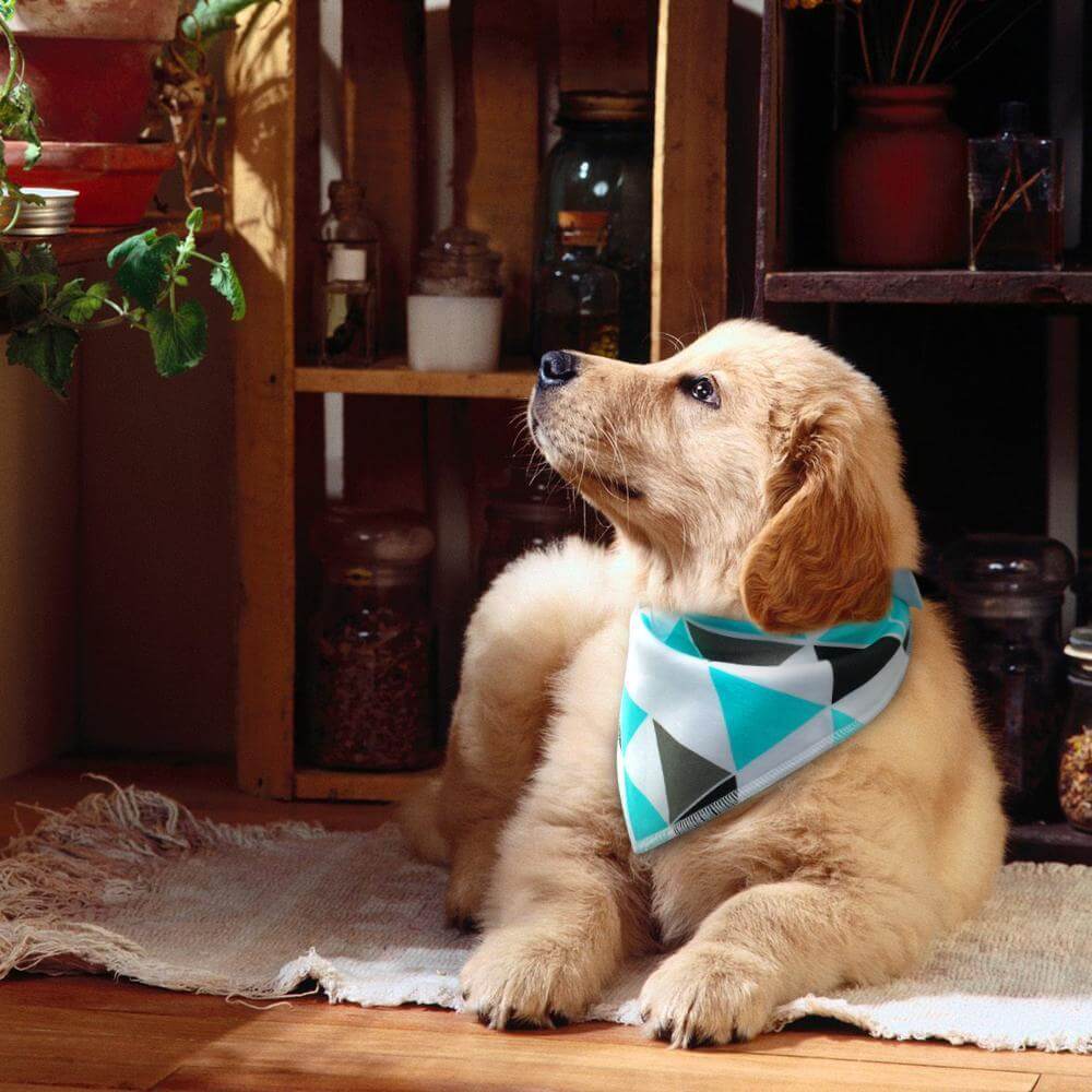 4 x 100% Cotton Bandanna Set Dog Neckerchief Happy Paws 