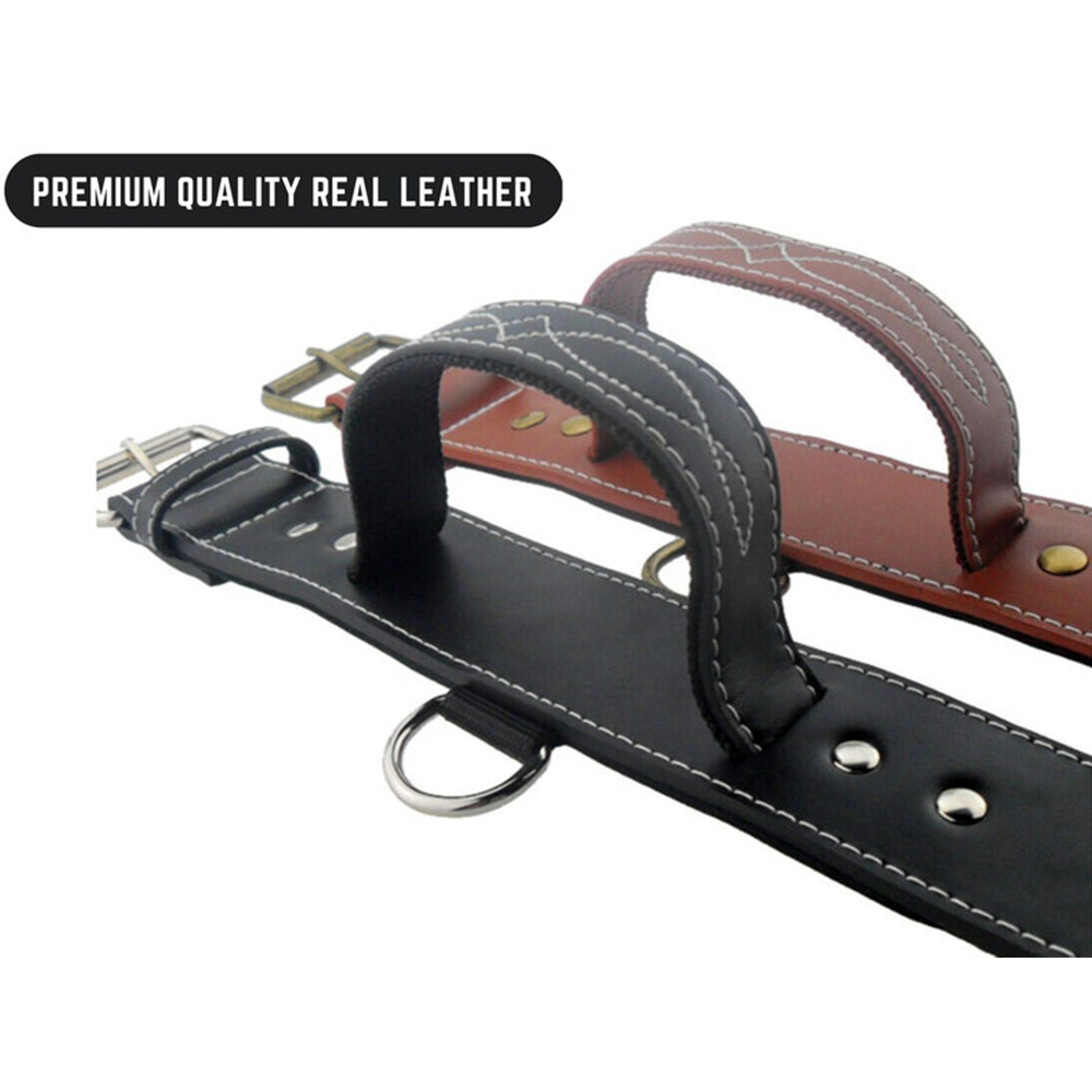 Leather Dog Collar With Handle
